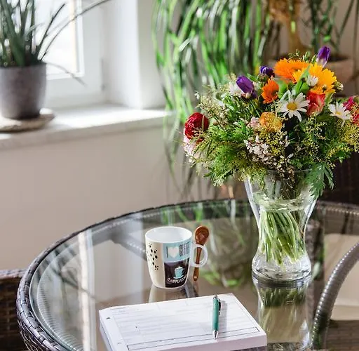 Apartmán Haidegger *