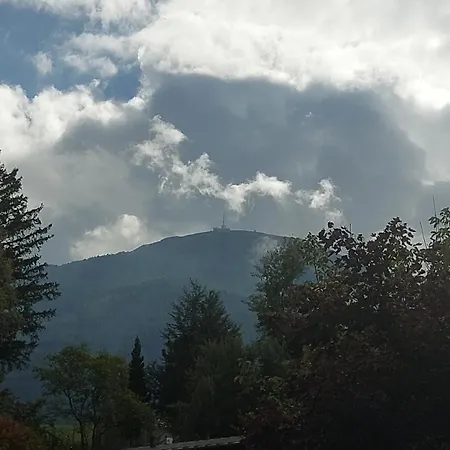 Haidegger Innsbruck