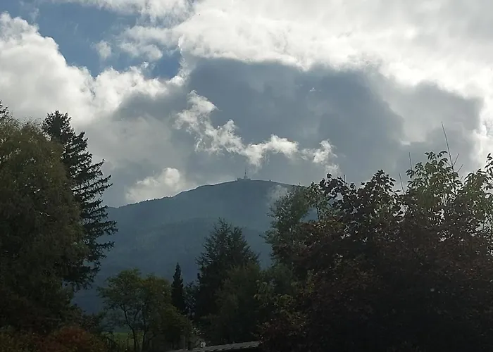 Haidegger Innsbruck